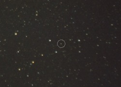 Vesta