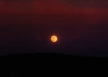 1998.04.11 ~20:00 CWE