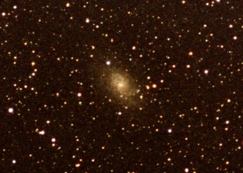 M 33
