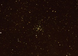 M 41