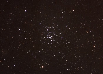 M 44