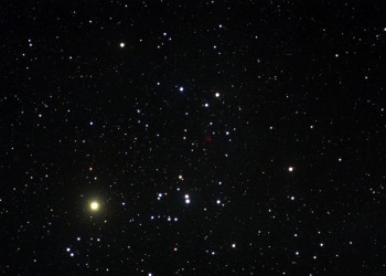 Mel 25