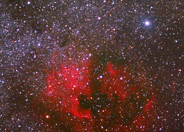 NGC 7000