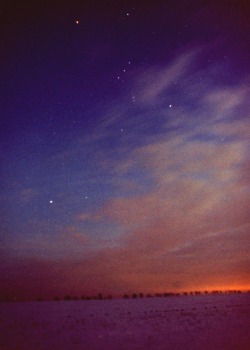 Orion