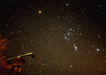 Orion